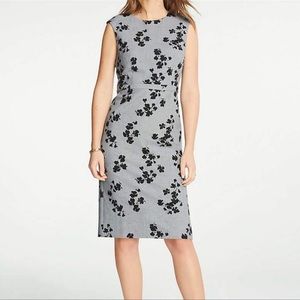 Ann Taylor black and gray floral sheath dress size 14 NWT